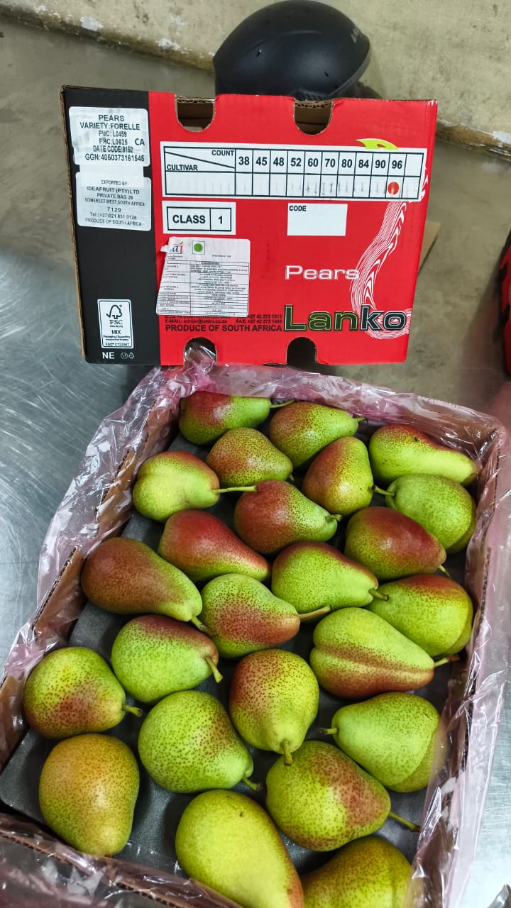 Beauty Pear (Green/Red)